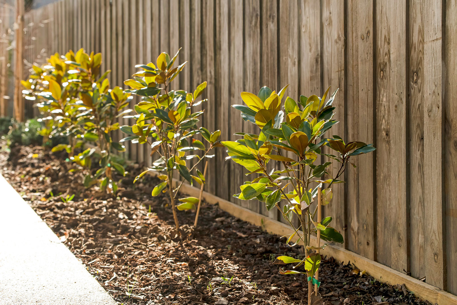 _9 Punt Road, Barwon Heads-15